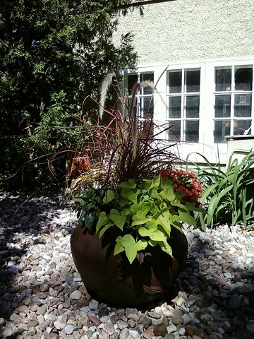 Summer planter for partial sun