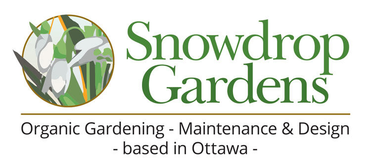 Snowdrop Gardens - Organic Gardening - Maintenance and Design - based in Ottawa